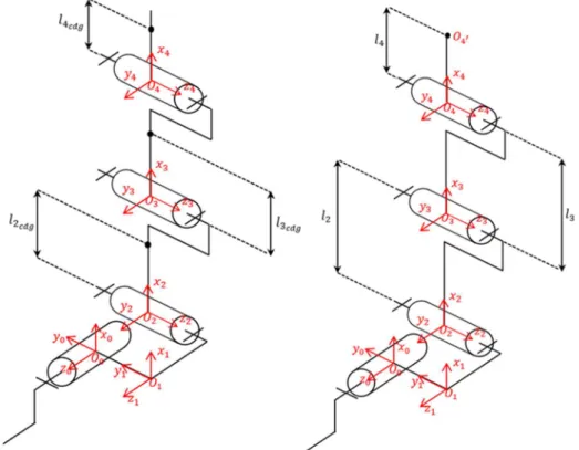Figure 17: Schémas cinématiques de la jambe 