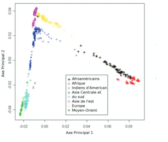 Figure 19 – Projection des données génétiques de 1087 individus sur les deux premiers axes de l’ACP