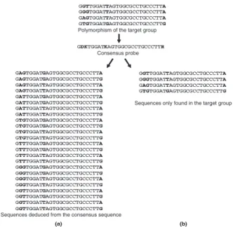 Figure 1 in Supplementary material shows an example of this step.