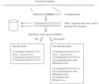 Figure 2 in Supplementary Material, presents a schematic overview of the PhylArray architecture.