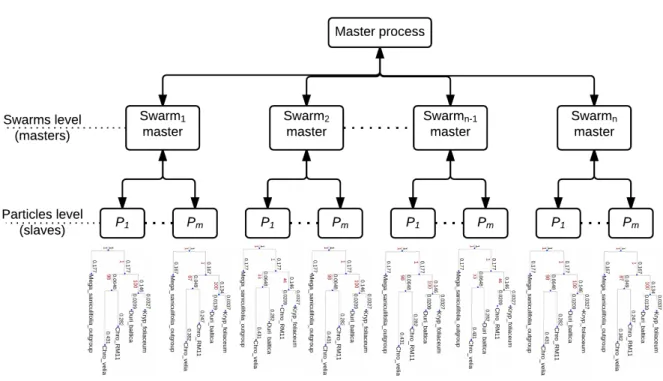 Fig. 3.2 – The distributed structure of BPSO algorithm.