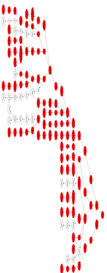 Fig. 4.4 – ACCA gene loss in various branches of the tree
