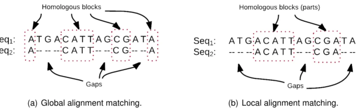 Figure 3.1: demonstration of sequence alignment approaches. (a) The process of global alignment