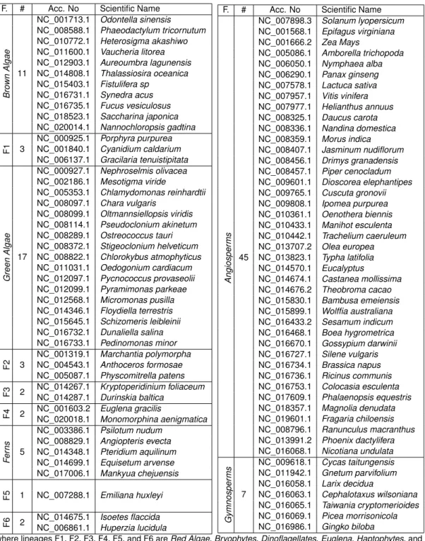 Table 6.1: List of chloroplast genomes of photosynthetic Eucaryotes lineages from NCBI