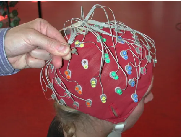 Fig. 1.4 EEG Cap is used to read the EEG signals