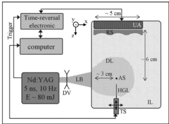 FIG. 1. Schematic diagram of the experimental setup. LB: laser beam, DV: