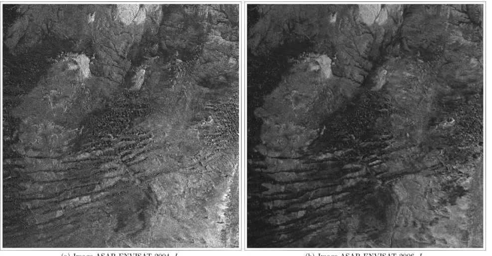 Fig. 3.5: Images ASAR ENVISAT de notre zone d'étude au sud du massif du Tibesti