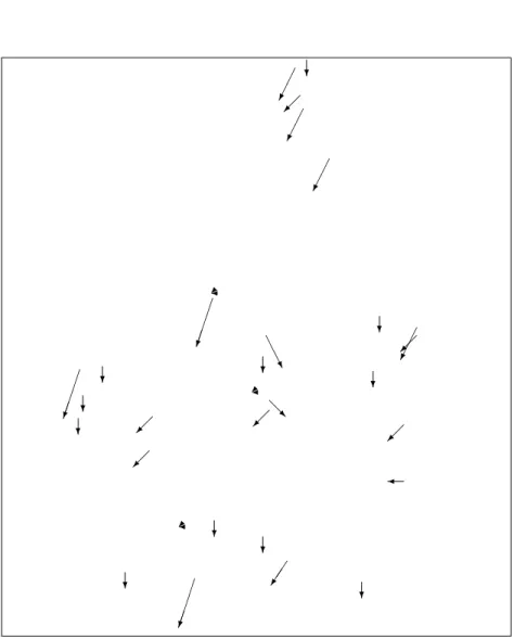Fig. 3.12: Déplaement de points brillant dans une zone de dunes entre deux images Envisat