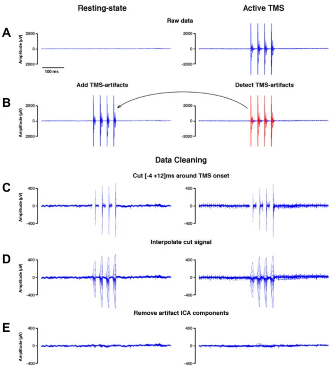 Figure 5. Control analyses to rule out an impact of TMS artifact cleaning procedures applied  to our EEG data 
