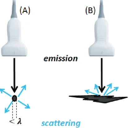 Fig. 6. Scattering: (A) when the sound beam encounters a target, whose size is smaller than the  wavelength of the ultrasound wave and (B) when the sound beam encounters a rough and irregular 