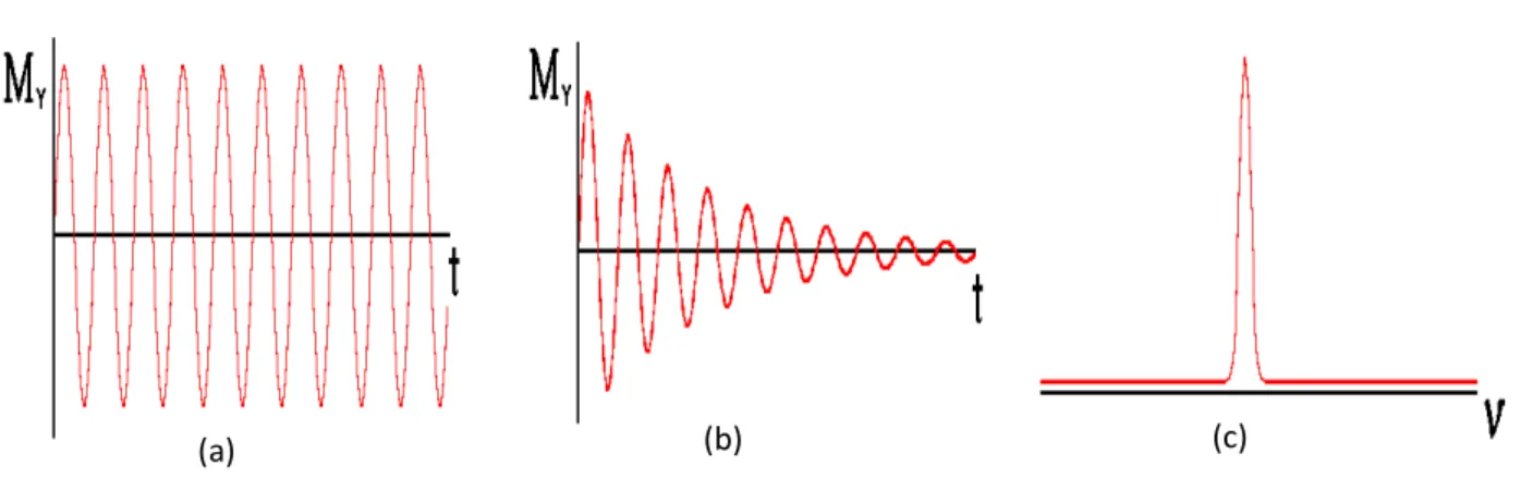 Figure 1-7: The current is plotted as a function of time and decay with the time T 2 * due to the  dephasing of spins
