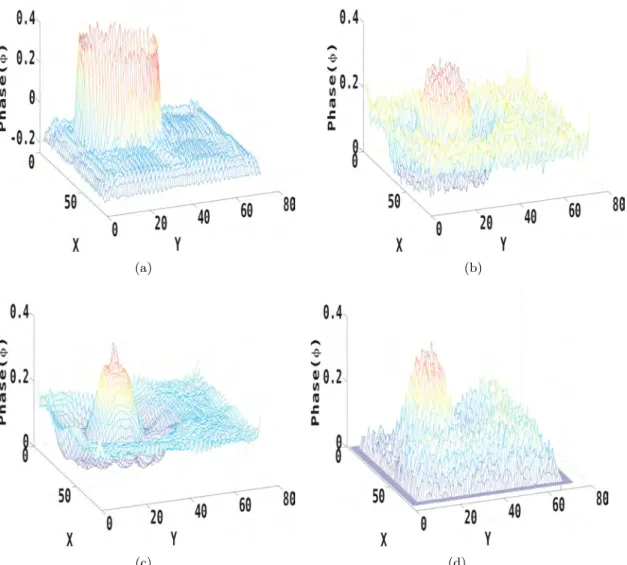 Figure 5.8: (a) Error map for the phase retrieved with the mixed approach [Guigay et al