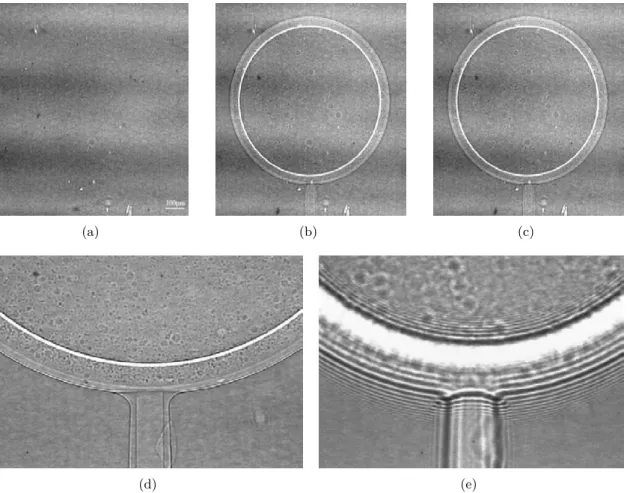 Figure 1.1: X-ray phase contrast images for a two-layered sphere sample. A 30 µ m layer of polystyrene covered by a 15 µm layer parylene for (a) D = 0.3 cm, (b) D = 19 cm and (c) D = 83 cm