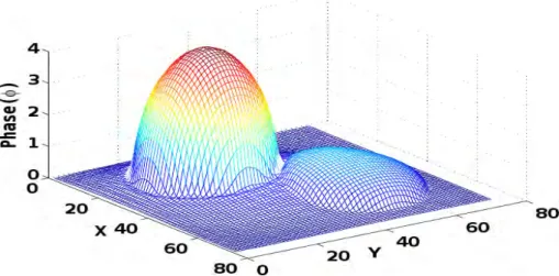 Figure 5.4: Reconstructed phase for our Landweber type method and noise free simula- simula-tions.