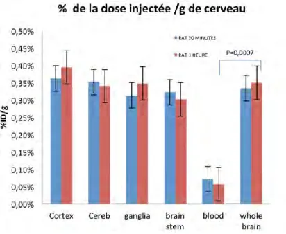 Figure 36 : Pourcentage de la dose injectée par gramme au niveau cortical 30 minutes ou 60 minutes après injection (n=3 par temps) 