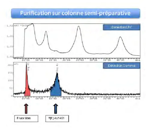 Figure 10 : Exemple d’un chromatogramme de purification sur colonne semi-préparative du [ 18 F]-AV1451 avec double détection (UV et  gamma) en sortie de colonne