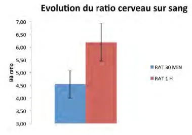 Figure 35 : Evolution du ratio cerveau sur sang (calculé grâces aux mesures de l’activité [ 18 F]-FNM dans des échantillons sanguins et  cérébraux) après injection du radiotraceur et mesure entre 30 et 60 minutes après injection du traceur