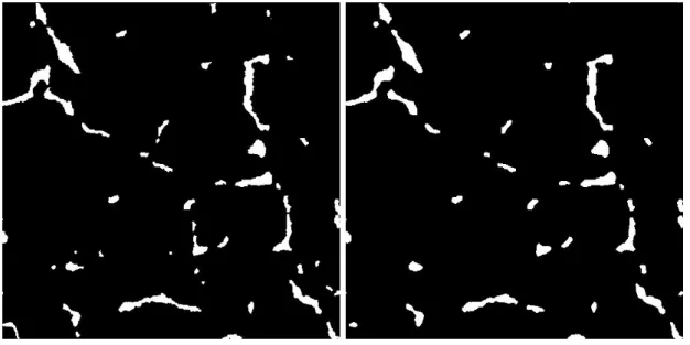 Figure 4.4: Binary sparse bone reconstructed images with TVbox method with 20 projection angles and 729 X-rays per projection with σ p = 6