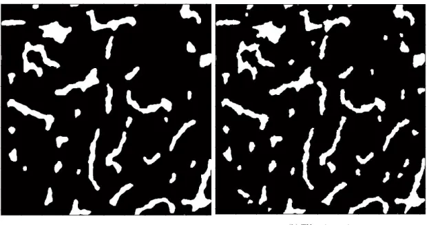 Figure 4.7: Binary dense bone reconstructed images with TV method with 20 projection angles and 729 X-rays per projection with σ p = 6
