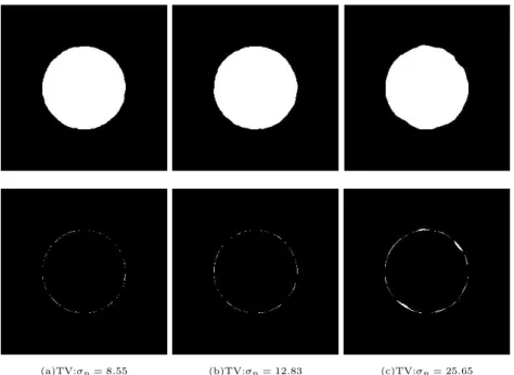 Figure 4.8: Binary Disk reconstructed images and difference maps with TV regularization method with 20 projection angles and 367 X-rays per projection.