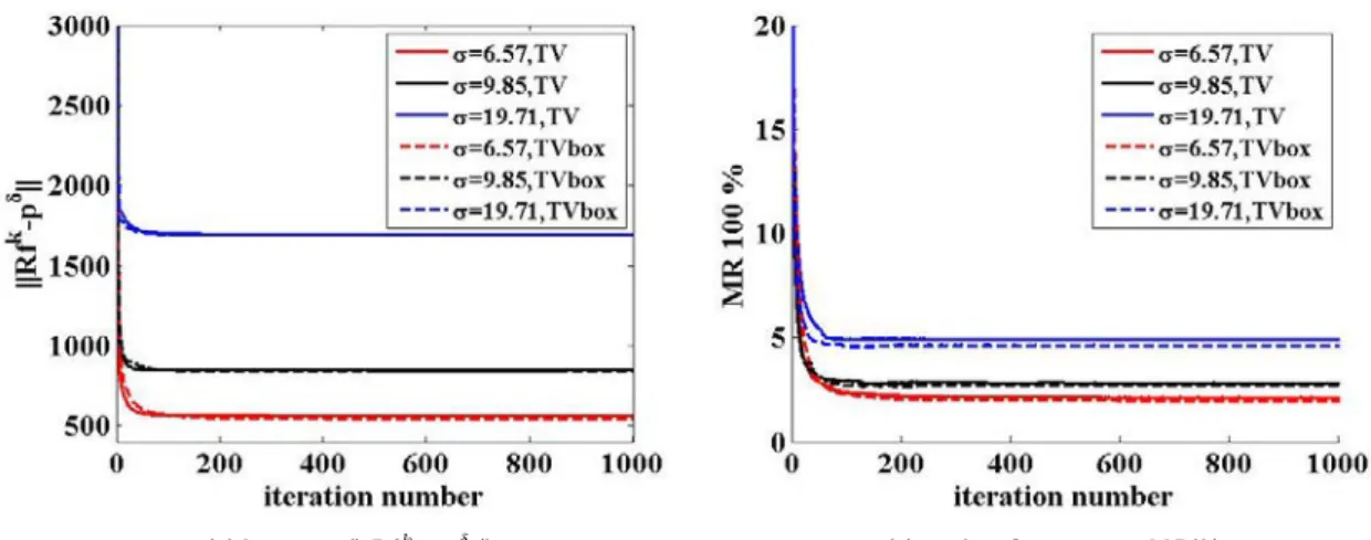 Figure 4.12: Evolution curves of data term and misclassification rate with the iteration number for small bone image with 20 projection angles
