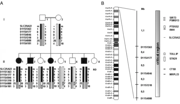 Figure 1 A, Pedigree and haplotype of the family. The blackened symbols indicate affected individuals, and the haplotype segregation with EME is shown