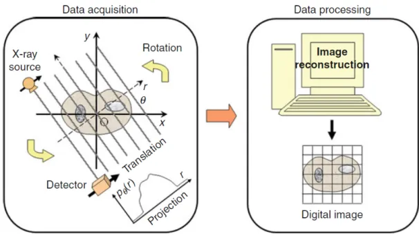 Figure 1.12: The two steps of data acquisition and data processing in the first generation of X-ray CT