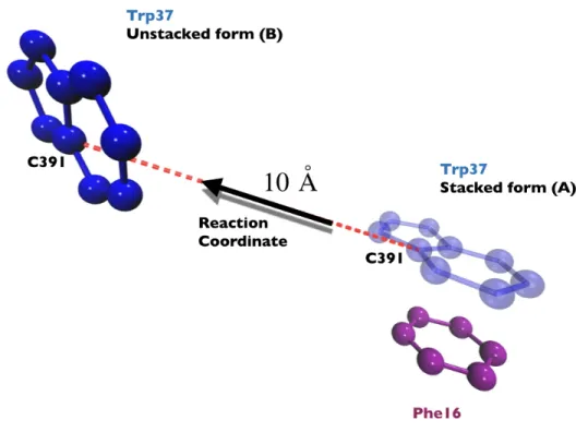 Figure 4: Representation of the chosen reaction coordinate (RC) for all the SMD simulations.