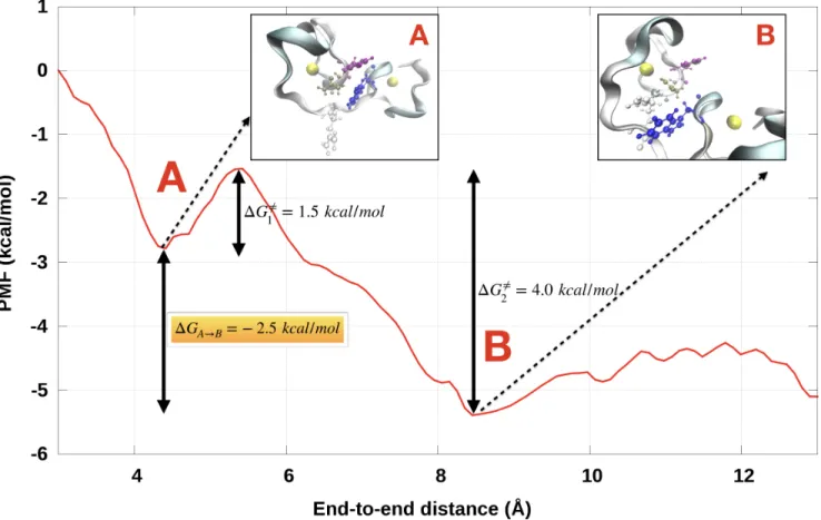Figure 2: Free energy landscape along the C72(Phe16) – C391(Trp37) RC obtained with Steered Molecular Dynamics with the polarizable AMOEBA force field