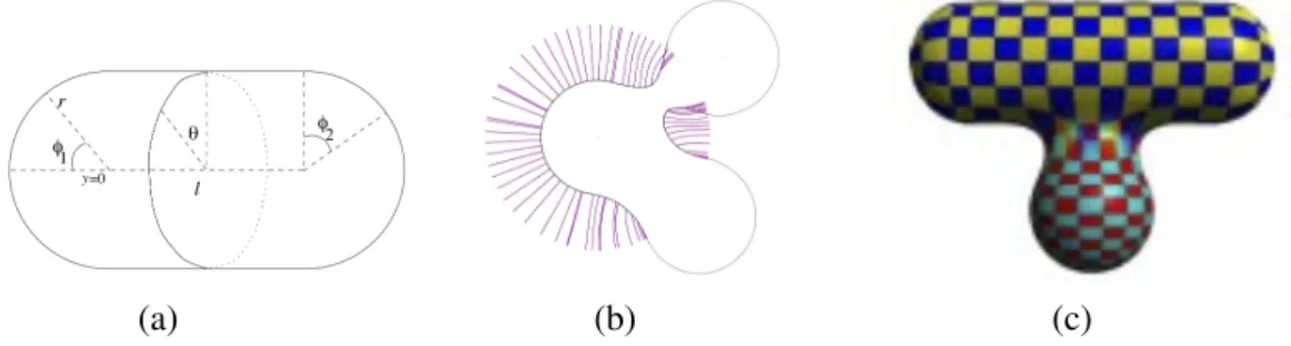 Figure from [ZGVdF98].