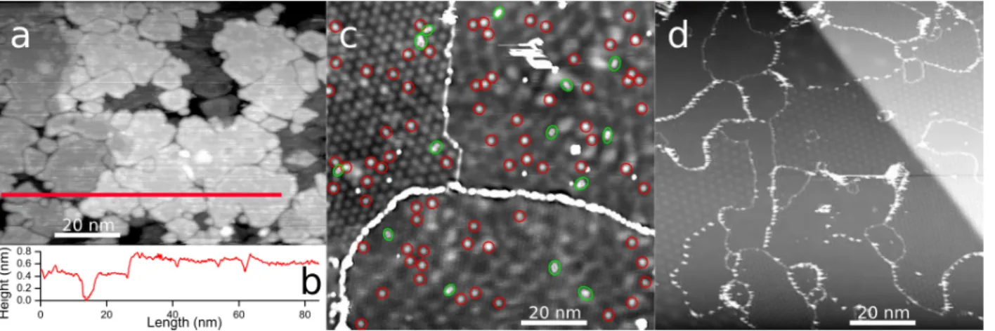 Figure 1: (a) STM image of proto-graphene on SiC(0001) synthesized after (step 1), i.e