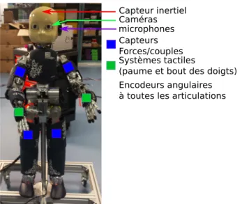 Figure 2.1 – Robot iCubNancy01 sur lequel les expériences ont été effectuées.