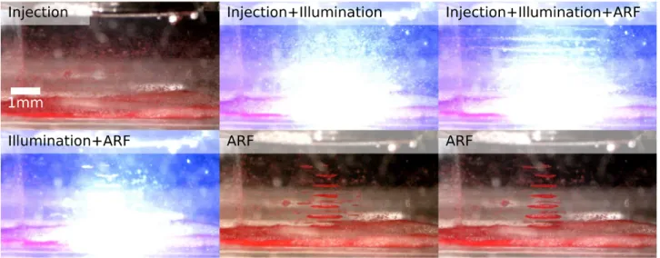 Figure 2: Example of multi-nodes structuration with a binary mixture. The mixture of particles is injected with a flowrate,  then the optical illumination and the acoustic forces are triggered