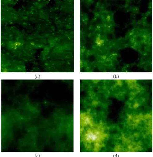 Figure 6. Examples of 512×512 images of (a) Quiet Sun, (b) a fractionnally integrated compound Poisson cascade, (c) a linear fractional stable sheet (LFSS), (d) the exponential of a fractional Brownian sheet (H = 0.55).