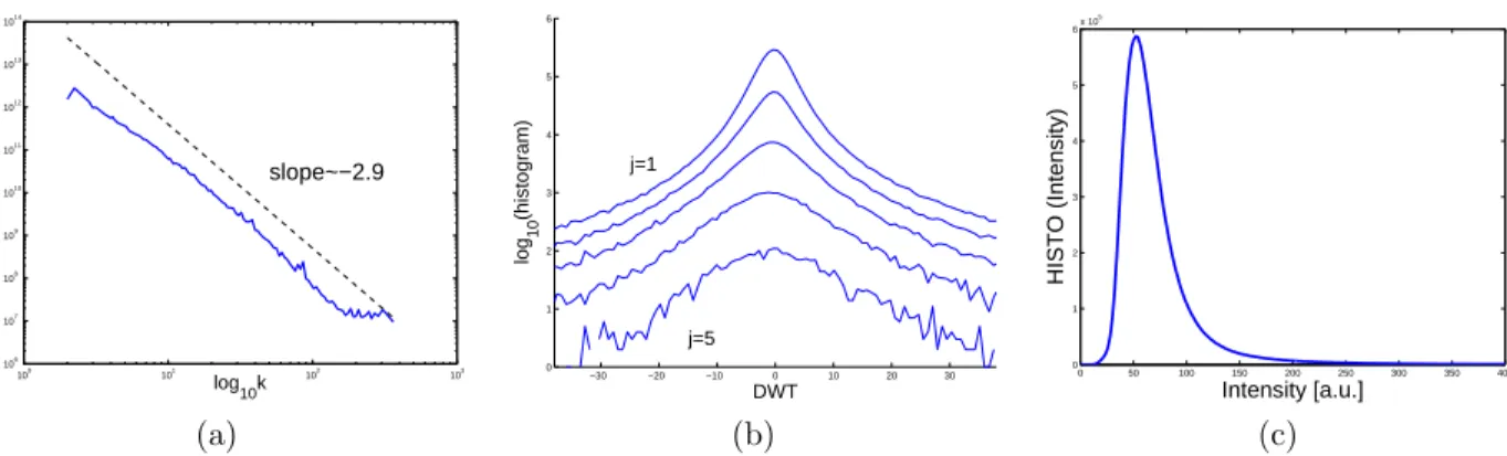 Figure 4. (a) Orientation averaged power spectrum for a given spatial frequency norm |k| from EIT 19.5 nm Quiet Sun images of 1997.(b) Normalized histograms of 2D discrete wavelet coefficients computed from 54 Quiet Sun images taken by EIT at 19.5 nm durin