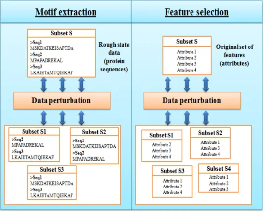 Figure 1: Data perturbation in feature selection and motif extraction