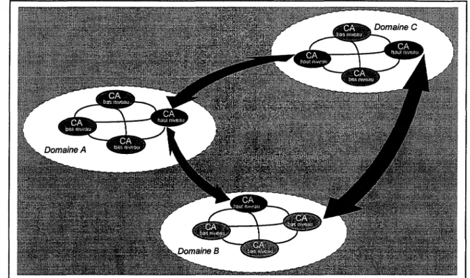 Figure  1 O.  Modèle de Certification Chimaera 