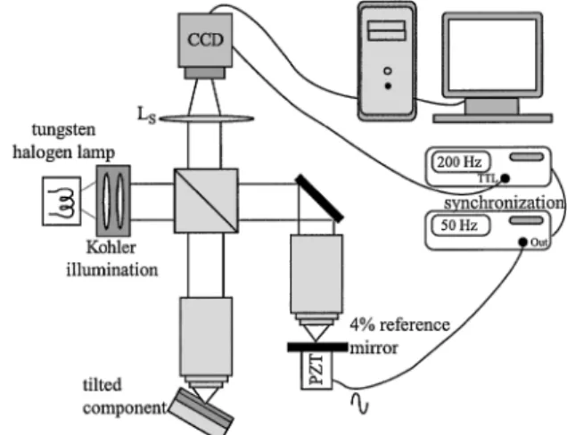 Fig. 1. Schematic representation of our Linnik inter- inter-ference microscope. Phase modulation is achieved by a piezoelectric transducer (PZT) synchronized with image acquisition by means of the two generators