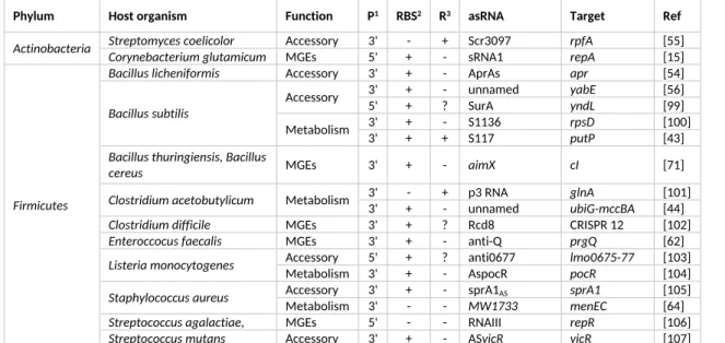 Table 2: List of studied cases of asRNAs in Gram-positive bacteria organized by phylum.