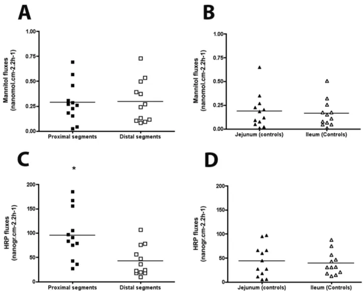 Figure 7. Mannitol and horseradish peroxidase (HRP) permeability in experimental intestinal atresia