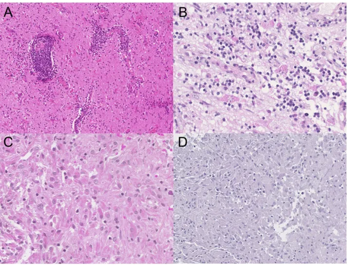 Figure 3 Representative histological samples  