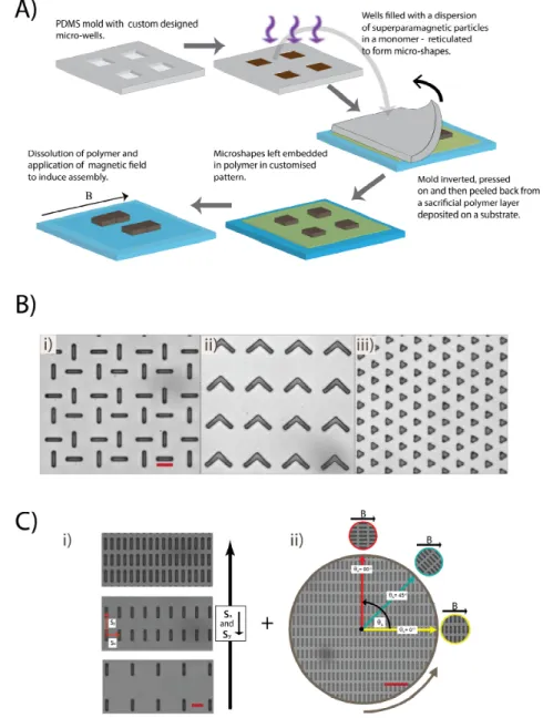 Figure 1. (A) The underlying method facilitating APPS: fabrication of SP micron-sized particles and  there extraction onto a substrate