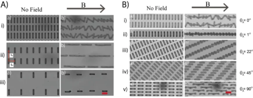 Figure 2. (A) Bright-field micrographs of cuboids (5 μm × 20 μm) in starting patterns (a) with array  pitches s x   and s y   of  13  and  32  (i),  26  and  44  (ii),  and  32  and  64  μm  (iii)