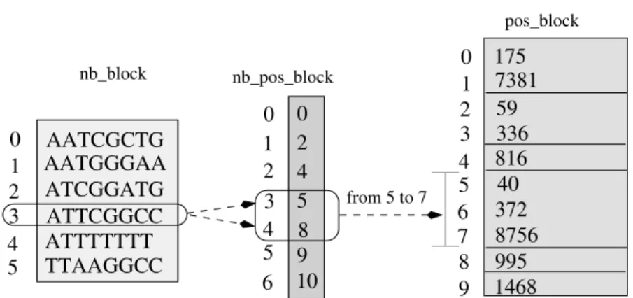 Figure 2.8: Example of a SeedBlock in reduced structure, based on the example of general structure in figure-2.6.