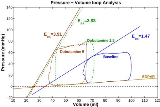 Figure 8: End-systolic elastance for the three contractility states