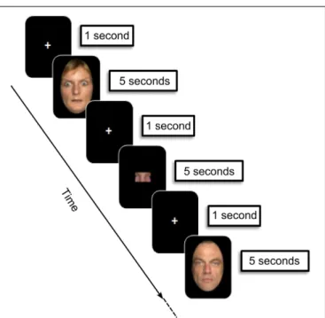 FIGURE 1 | Experimental design: encoding phase. During each trial (12 s), children were asked to memorize faces presented (5 s), preceded and followed by a fixation cross (1000 ms)