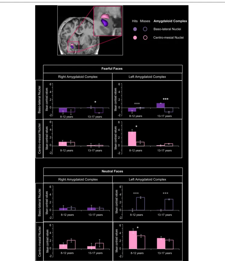 FIGURE 5 | Amygdaloid complex activations during emotional face encoding. Mean contrast values (Hits and Misses) by age group for fearful and neutral faces within baso-lateral and centro-mesial nuclei of right and left amygdaloid complex (AC)