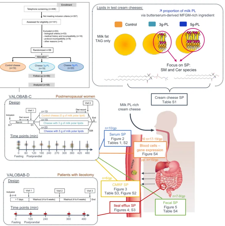 Figure 1: Design of VALOBAB-C and VALOBAB-D clinical trials and graphical summary of  732 