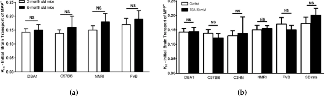 Figure 4. Permeability (10 − 3 cm min − 1 ) from apical to basolateral passage of (a) [ 3 H]-MPP + ± tetraethylammonium (TEA) 2 mM or (b) of [ 3 H]-Phenylalanine ± Inhibitor (Tryptophan 5 mM) on a human blood-brain barrier (BBB) model, corrected to that of