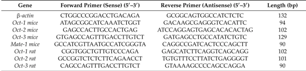 Table 1. Primer Sequences Used for SYBR Green-Based quantitative Real Time-Polymerase Chain Reaction (qRT-PCR).